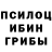 Галлюциногенные грибы Psilocybe Vitalina Vin