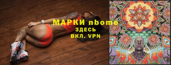 ECSTASY Белокуриха