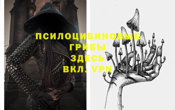 гашик Белоозёрский