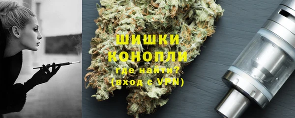 ECSTASY Белокуриха