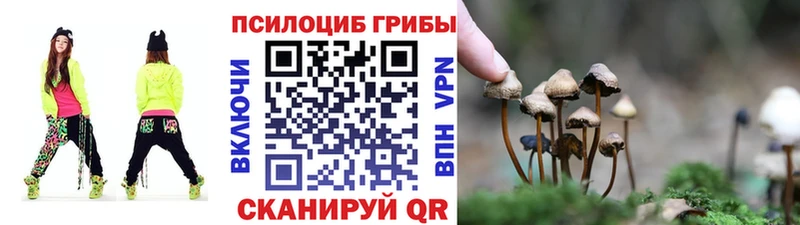 Псилоцибиновые грибы прущие грибы  мориарти телеграм  Задонск 